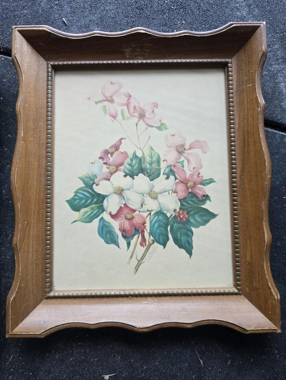 1950s Framed Lithograph Flower, Wall Decor Set.
